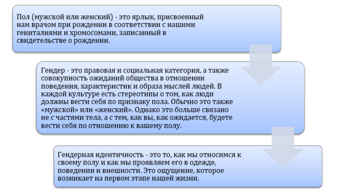 Какой стереотип определяет разновидность компонента файла