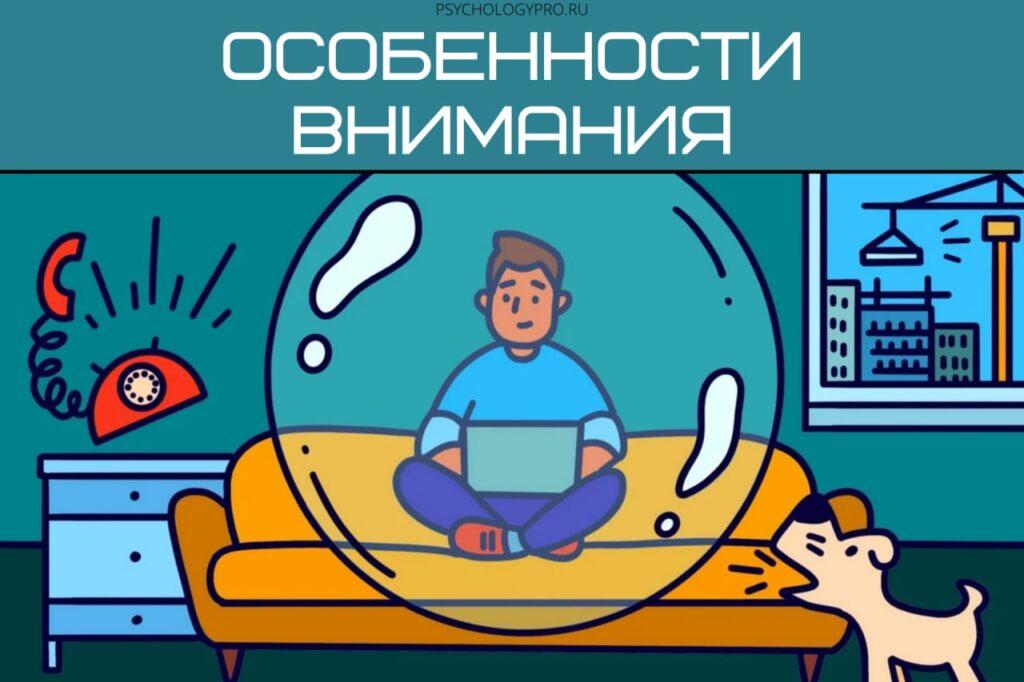 Внимание - что это? Функции и особенности внимания - PsychologyPro