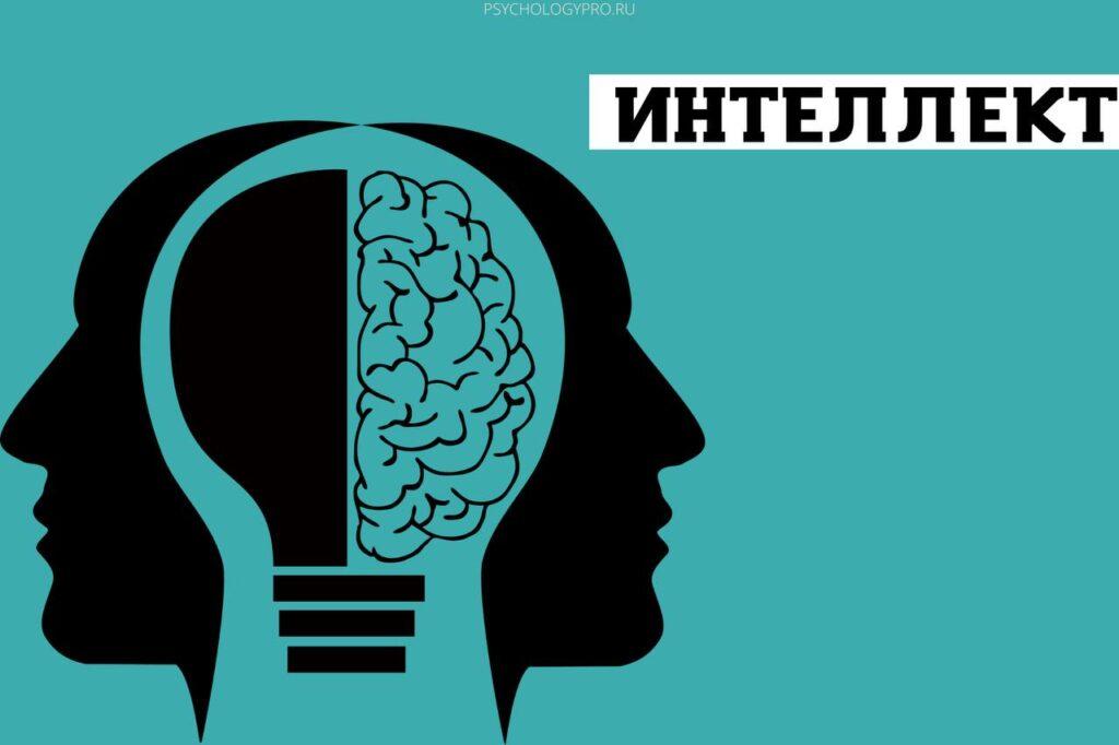 Интеллект - PsychologyPro