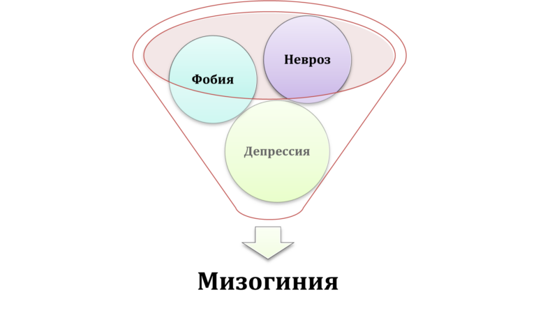 Мизогиния. Внутренняя мизогиния. Мизогиния признаки. Мизогиния актуальность.